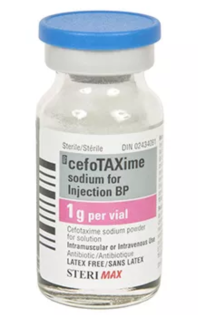 Image: Cefotaxime for Injection