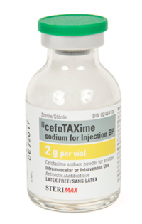 Image: Cefotaxime for Injection